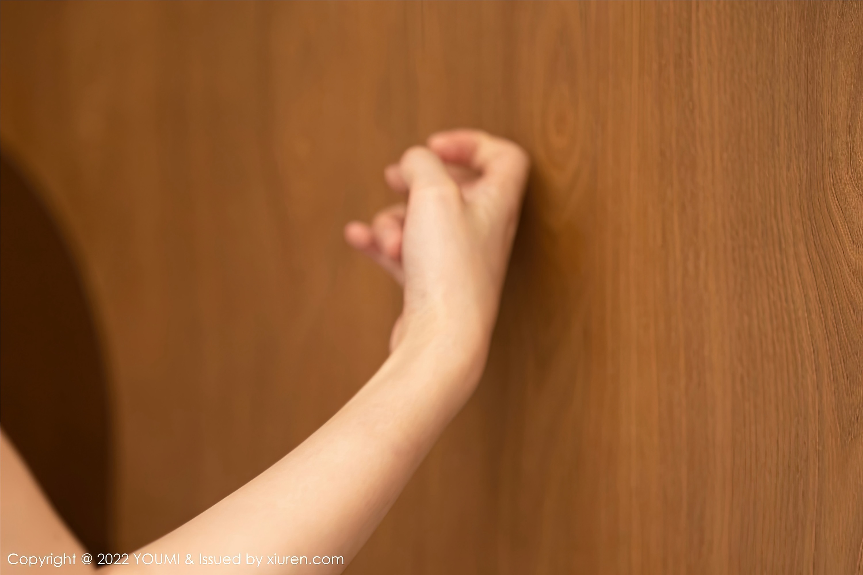 YouMi尤蜜荟 2022.11.25 VOL.869 朱可儿Flora